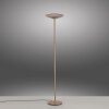 Paul Neuhaus PURE Moon Stehleuchte LED Bronze, 2-flammig