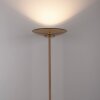 Paul Neuhaus PURE Moon Stehleuchte LED Bronze, 2-flammig