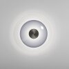 Paul Neuhaus PURE Vitrum Wand- und Deckenleuchte LED Grau, 1-flammig