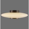 Paul Neuhaus PURE Vitrum Wand- und Deckenleuchte LED Braun, 1-flammig