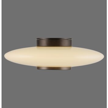 Paul Neuhaus PURE Vitrum Wand- und Deckenleuchte LED Braun, 1-flammig