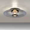 Paul Neuhaus PURE Vitrum Deckenleuchte LED Grau, 2-flammig