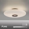 Paul Neuhaus PURE Vitrum Deckenleuchte LED Braun, 2-flammig Paul Neuhaus PURE Vitrum Deckenleuchte LED Braun, 2-flammig