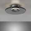Paul Neuhaus PURE Moon Deckenleuchte LED Grau, 2-flammig
