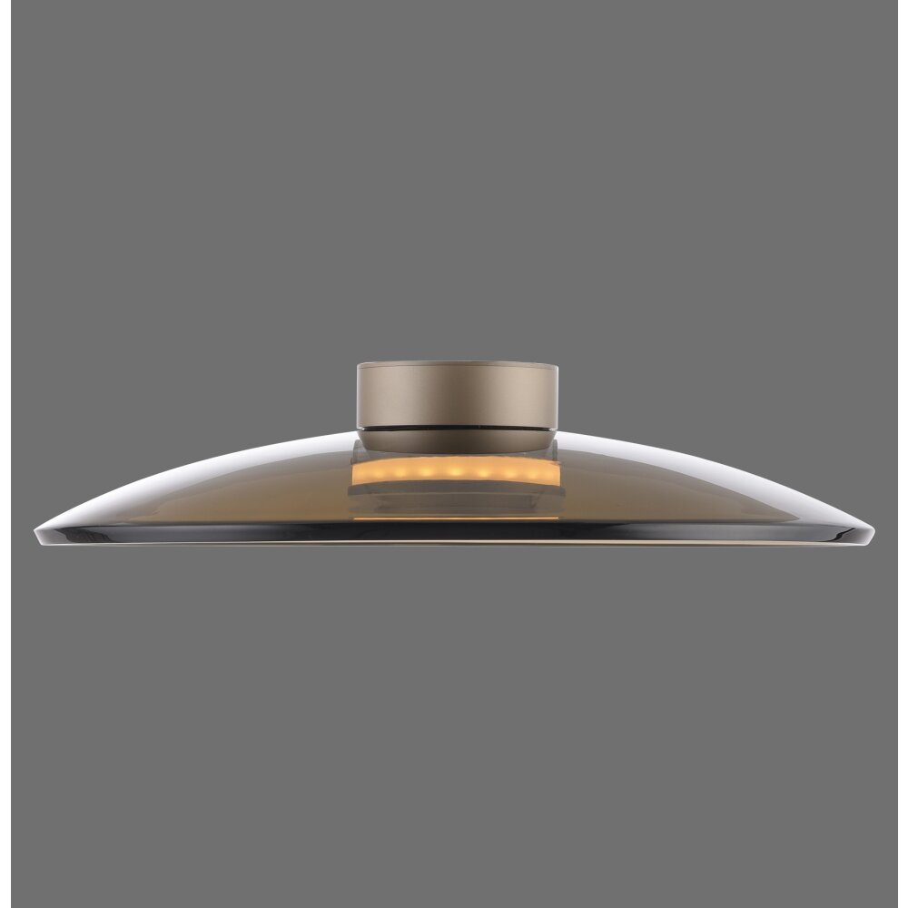 Paul Neuhaus PURE Moon Deckenleuchte LED Bronze, 2-flammig main product photo