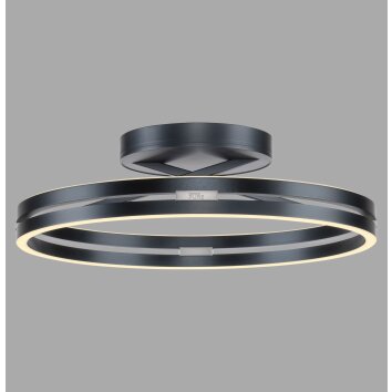Paul Neuhaus PURE Loop Deckenleuchte LED Grau, 2-flammig, Fernbedienung