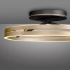 Paul Neuhaus PURE Loop Deckenleuchte LED Gold, Schwarz, 2-flammig, Fernbedienung