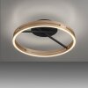 Paul Neuhaus PURE Loop Deckenleuchte LED Gold, Schwarz, 2-flammig, Fernbedienung
