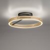 Paul Neuhaus PURE Loop Deckenleuchte LED Gold, Schwarz, 2-flammig, Fernbedienung