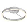 Paul Neuhaus PURE Loop Deckenleuchte LED Silber, 2-flammig, Fernbedienung