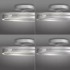 Paul Neuhaus PURE Loop Deckenleuchte LED Silber, 2-flammig, Fernbedienung