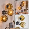 Ripoll Wandleuchte Glas 15 cm Gold, Klar, 3-flammig