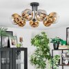 Ripoll Deckenleuchte Glas 15 cm Gold, Klar, 7-flammig