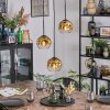 Ripoll Hängeleuchte Glas 15 cm Gold, Klar, 3-flammig