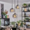 Ripoll Hängeleuchte Glas 20 cm Klar, Rauchfarben, 3-flammig