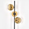 Ripoll Stehleuchte Glas 15 cm Gold, Klar, 3-flammig
