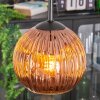 Ripoll Hängeleuchte Glas 15 cm Kupferfarben, 3-flammig