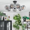 Ripoll Deckenleuchte Glas 15 cm Chrom, Klar, Rauchfarben, 7-flammig