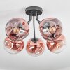 Ripoll Deckenleuchte Glas 15 cm Klar, Kupferfarben, 5-flammig