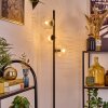 Ripoll Stehleuchte Glas 15 cm Klar, 3-flammig