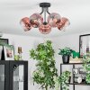 Ripoll Deckenleuchte Glas 15 cm Klar, Kupferfarben, 5-flammig