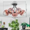 Ripoll Deckenleuchte Glas 15 cm Klar, Kupferfarben, 5-flammig
