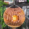 Ripoll Hängeleuchte Glas 15 cm Klar, Kupferfarben, 3-flammig