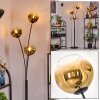 Ripoll Stehleuchte Glas 15 cm Gold, Klar, 3-flammig