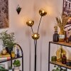Ripoll Stehleuchte Glas 15 cm Gold, Klar, 3-flammig