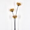 Ripoll Stehleuchte Glas 15 cm Gold, Klar, 3-flammig