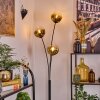 Ripoll Stehleuchte Glas 15 cm Gold, Klar, 3-flammig