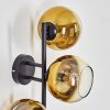 Koyoto Wandleuchte Glas 15 cm Gold, Klar, 3-flammig