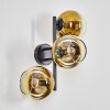 Koyoto Wandleuchte Glas 15 cm Gold, Klar, 3-flammig