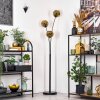 Ripoll Stehleuchte Glas 15 cm Gold, 3-flammig