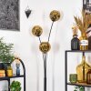 Ripoll Stehleuchte Glas 15 cm Gold, 3-flammig