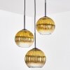 Koyoto Hängeleuchte Glas 20 cm Gold, Klar, 3-flammig