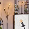 Ripoll Stehleuchte Glas 15 cm Klar, 3-flammig