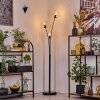 Ripoll Stehleuchte Glas 15 cm Klar, 3-flammig