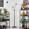 Ripoll Stehleuchte Glas 15 cm Klar, 3-flammig