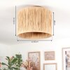 Granja Deckenleuchte Glas 40 cm Naturfarben, 1-flammig