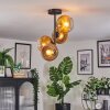 Koyoto Deckenleuchte Glas 15 cm Gold, Klar, 4-flammig