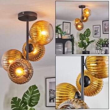 Koyoto Deckenleuchte Glas 15 cm Gold, Klar, 4-flammig