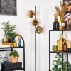 Ripoll Stehleuchte Glas 15 cm Gold, Klar, 3-flammig