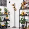 Ripoll Stehleuchte Glas 15 cm Gold, Klar, 3-flammig