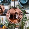 Ripoll Hängeleuchte Glas 20 cm Naturfarben, Schwarz, 8-flammig
