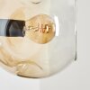 Ripoll Wandleuchte Glas 15 cm Bernsteinfarben, Klar, Rauchfarben, 3-flammig