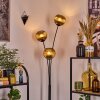 Koyoto Stehleuchte Glas 15 cm Gold, 3-flammig