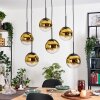 Gastor Hängeleuchte Glas 20 cm Gold, Klar, 6-flammig
