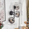 Gastor Wandleuchte Glas 15 cm Klar, Rauchfarben, 3-flammig