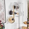 Ripoll Wandleuchte Glas 15 cm Gold, Schwarz, 3-flammig